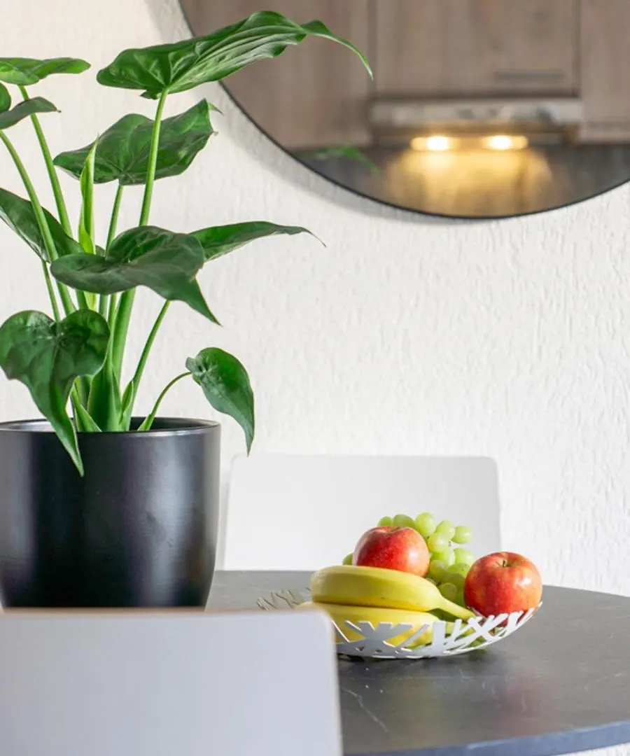 Special Picco Picasso Apartment Basel, Bahnhof Grossbasel 10-Star 0*, Basel Schweiz